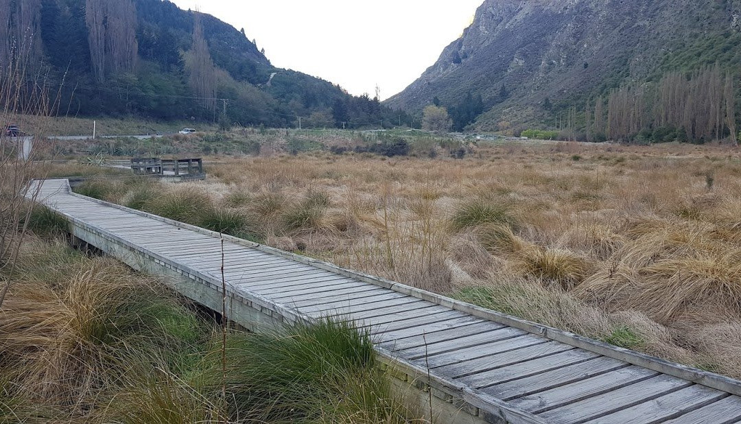 Matakauri Park-皇后镇必去景点