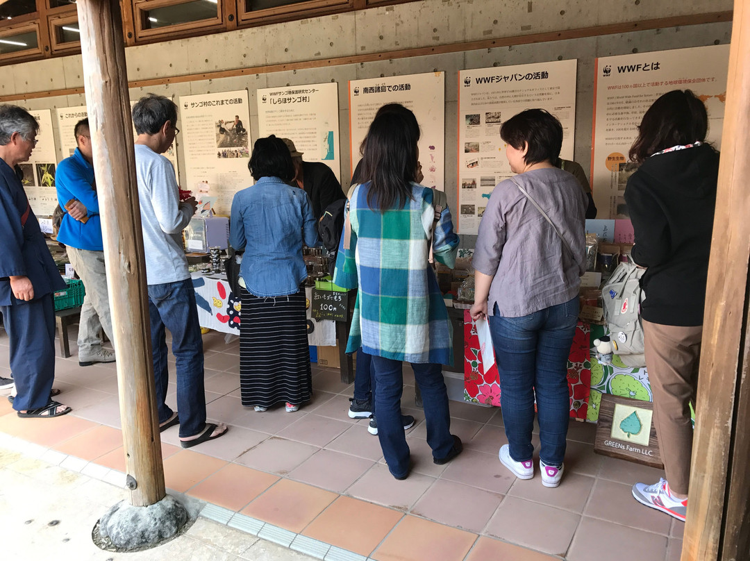 Shiraho Sunday Market景点图片