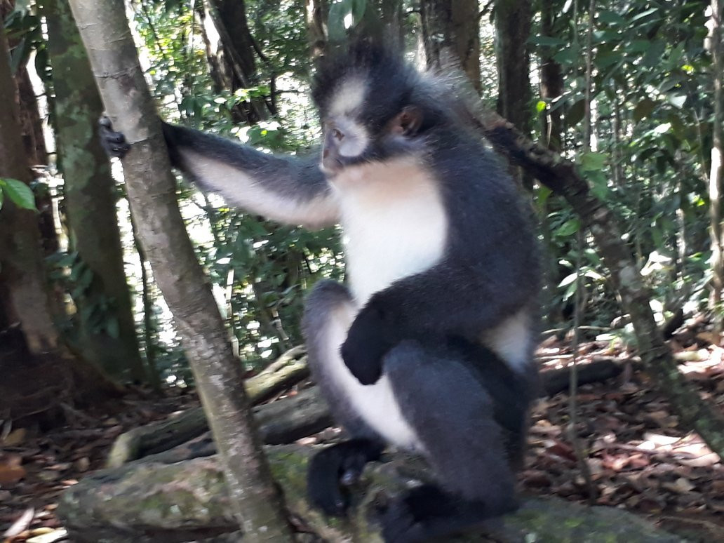 武吉拉旺酒店住宿-The Heritage Resort & Restaurant