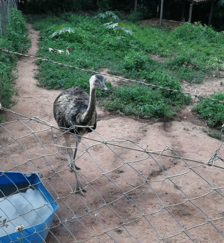 Refugio Zoologico-Samaipata必去景点