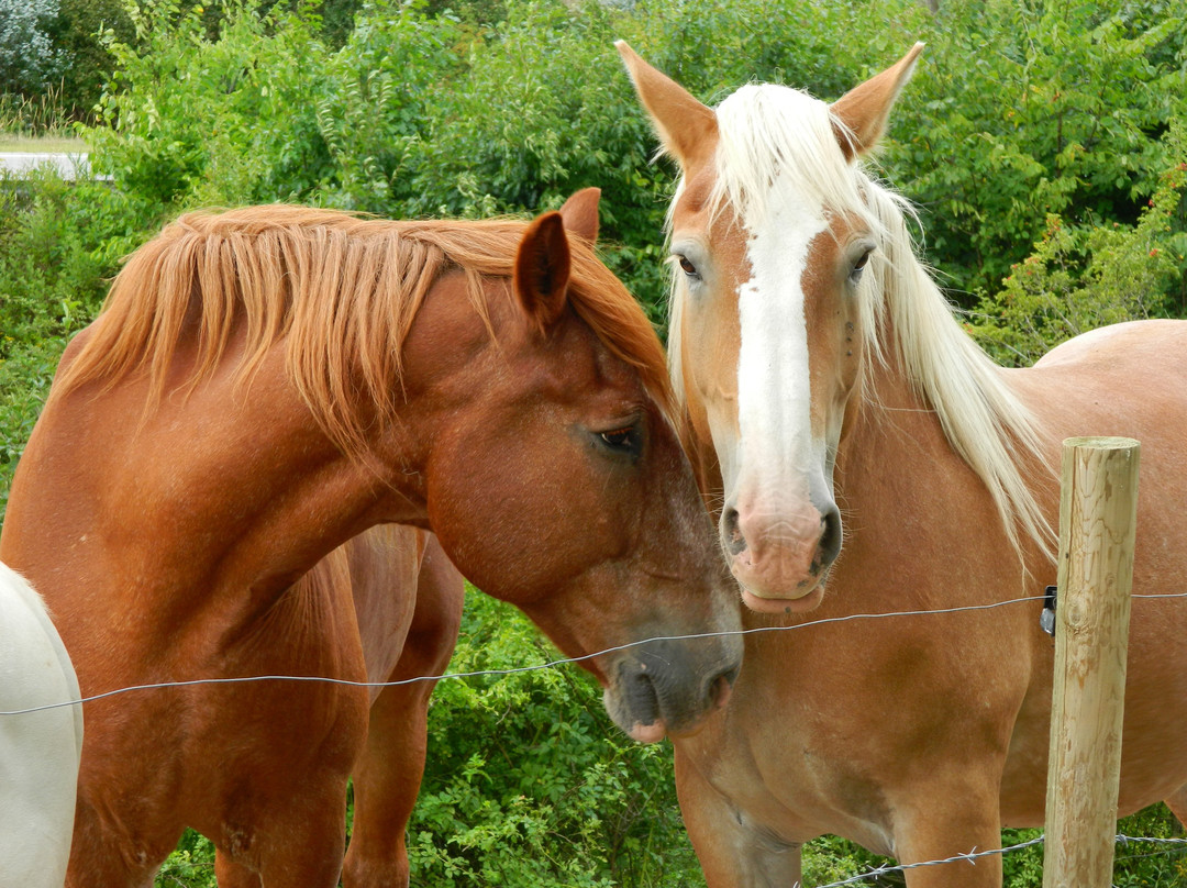 Broken Wheel Bed & Breakfast主图