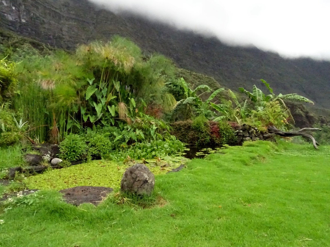 La Miellerie de Marla主图