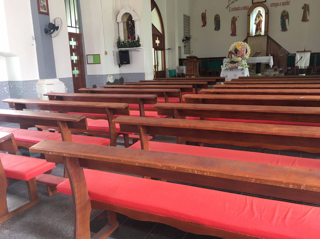 N S do Carmo Cathedral-Parintins必去景点