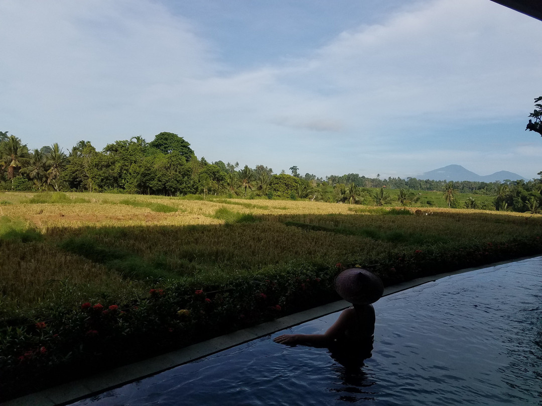 Wadari Retreat Villa Ubud主图