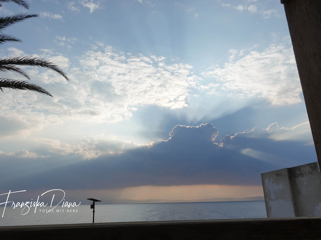 INMO Divers Home主图