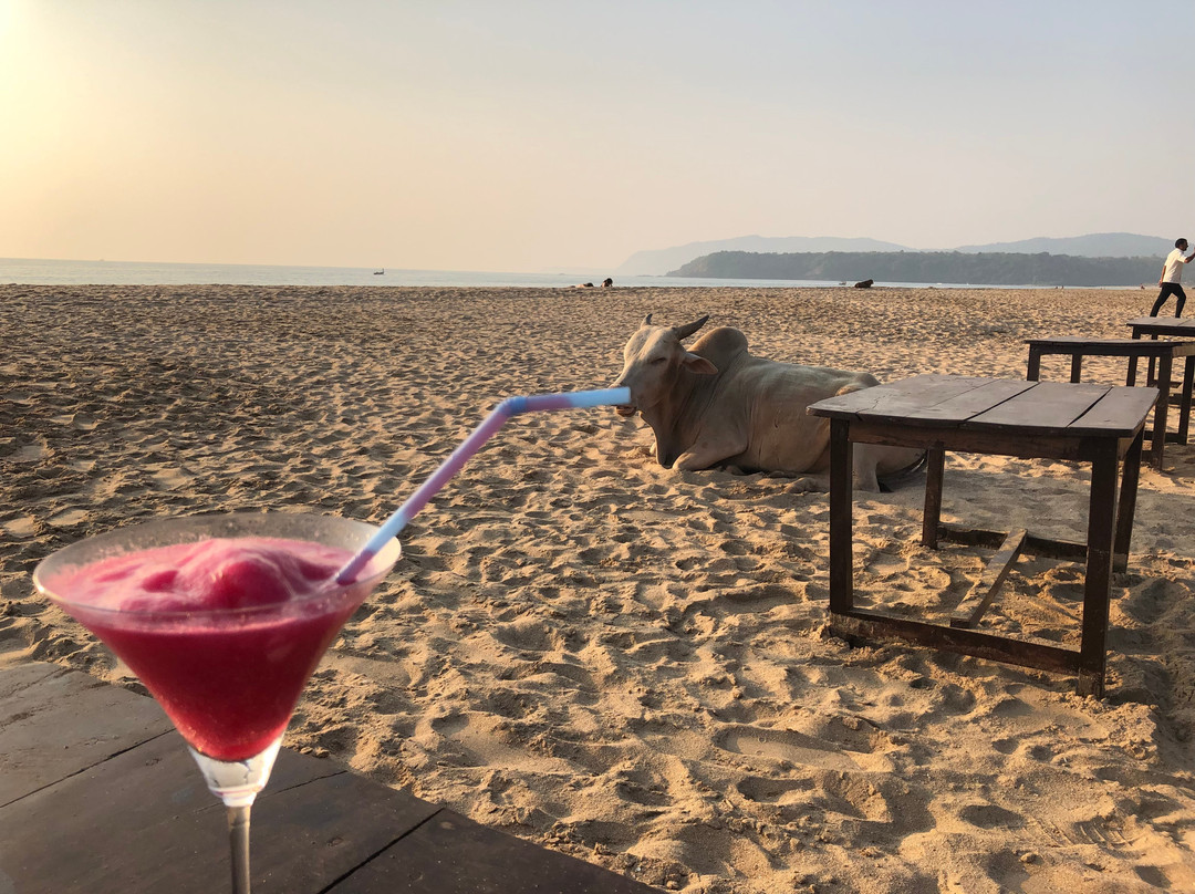 Agonda Diva Beach Resort & Spa Goa主图