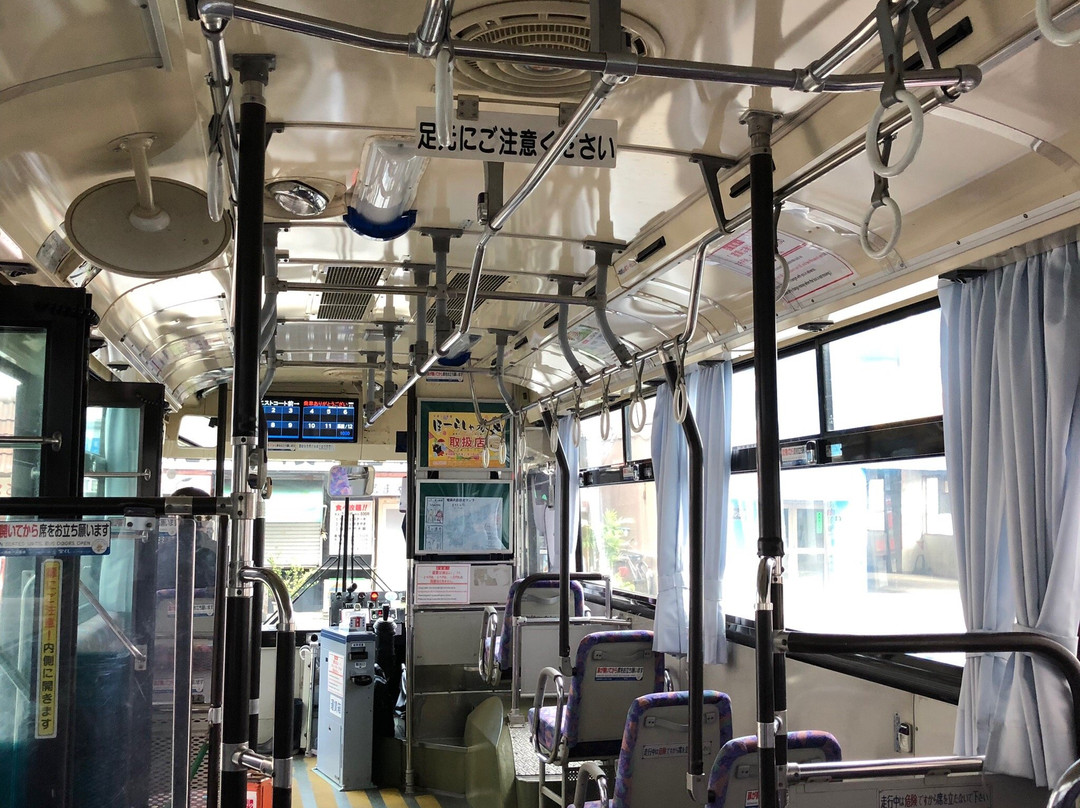 Shima Bus-奄美市必去景点