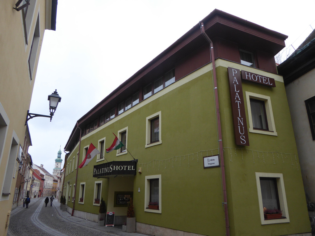 帕拉缇诺斯酒店主图