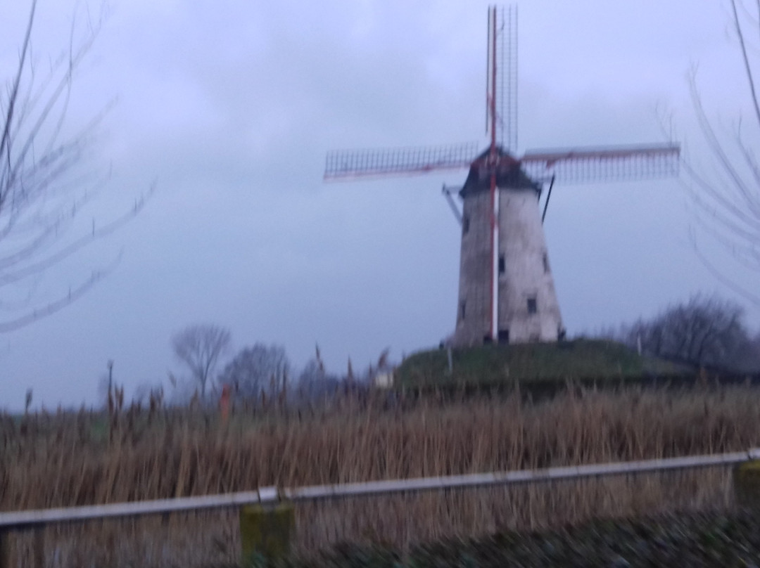Hoeke Windmill景点图片