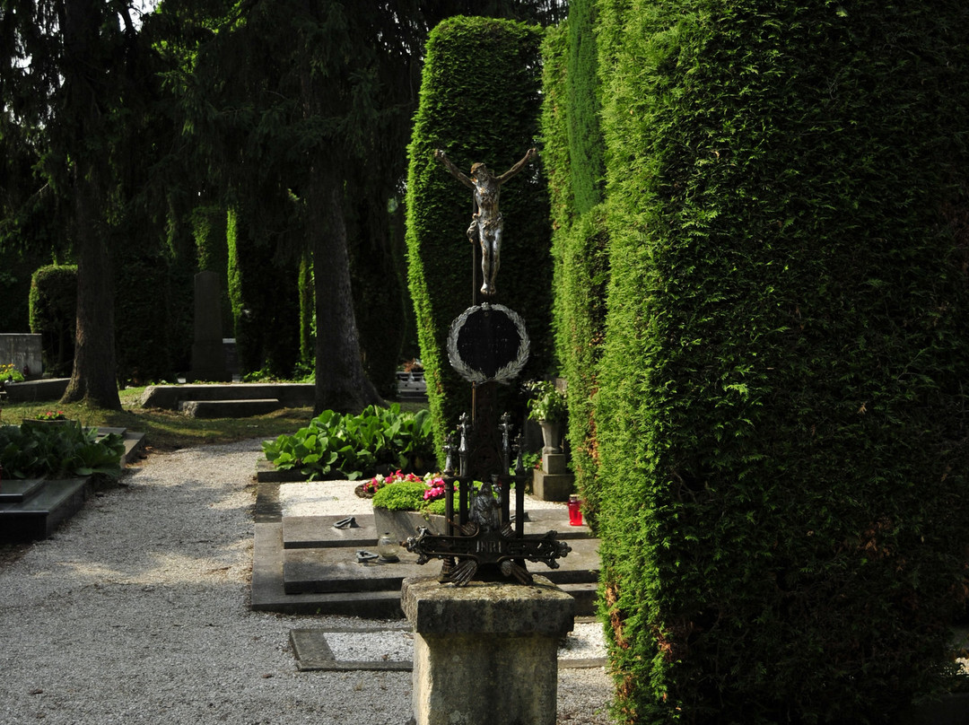 Varazdin Cemetery景点图片