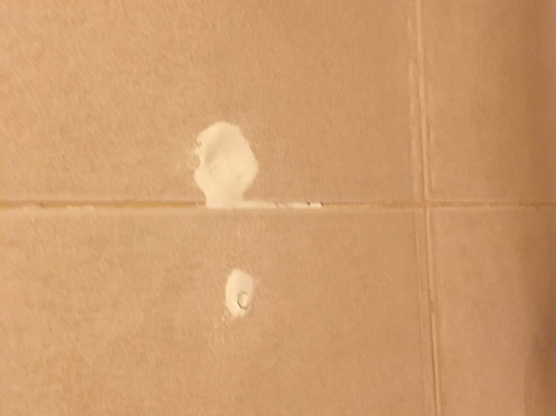 Tolip Aswan Hotel主图