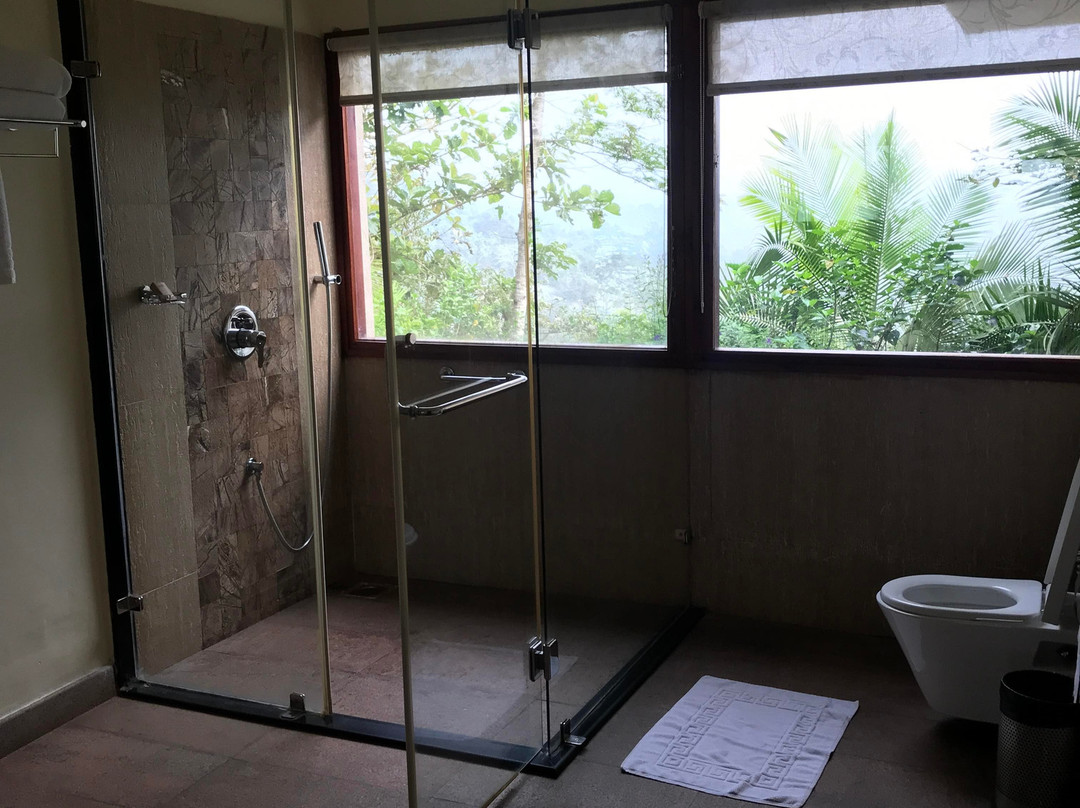 The Windflower Resort & Spa Vythiri主图