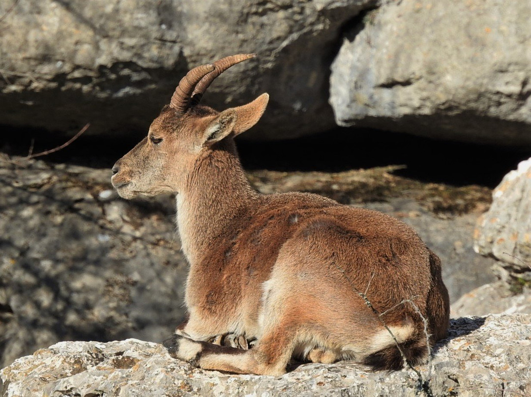 Centro de Visitantes Torcal Alto-安特克拉必去景点
