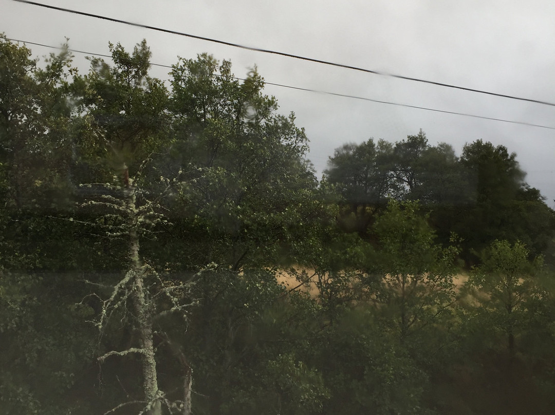 Castleview Bed & Breakfast主图