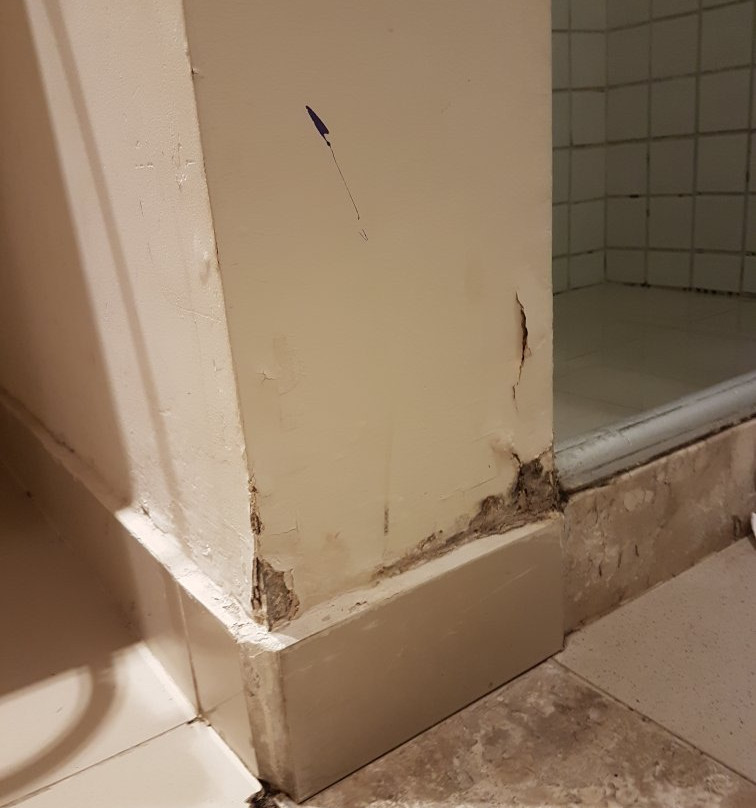 卡尔顿广场猴面包树主图