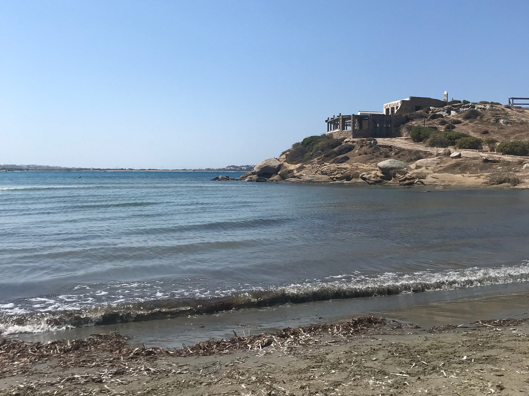 尼萨基海滩酒店主图