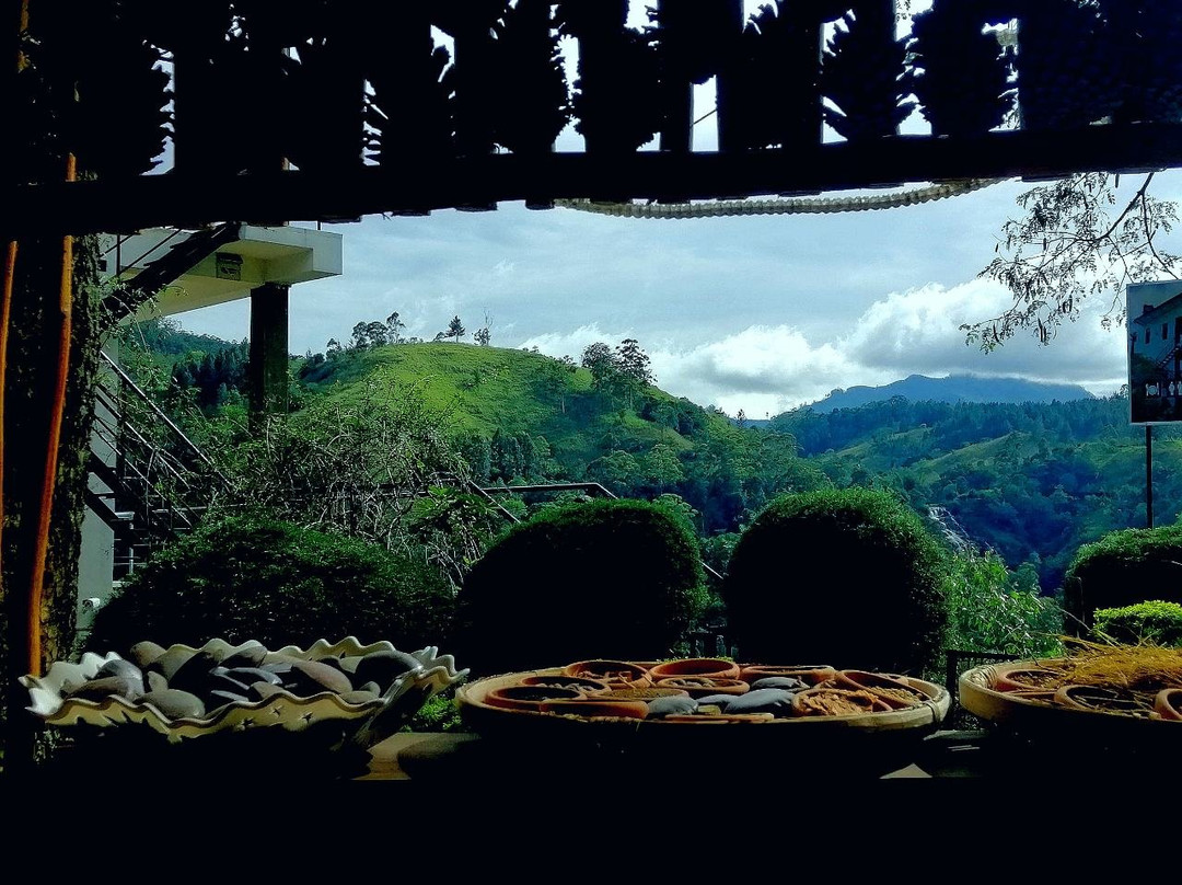 Rawan Herbal Ayurweda Spa-埃勒必去景点