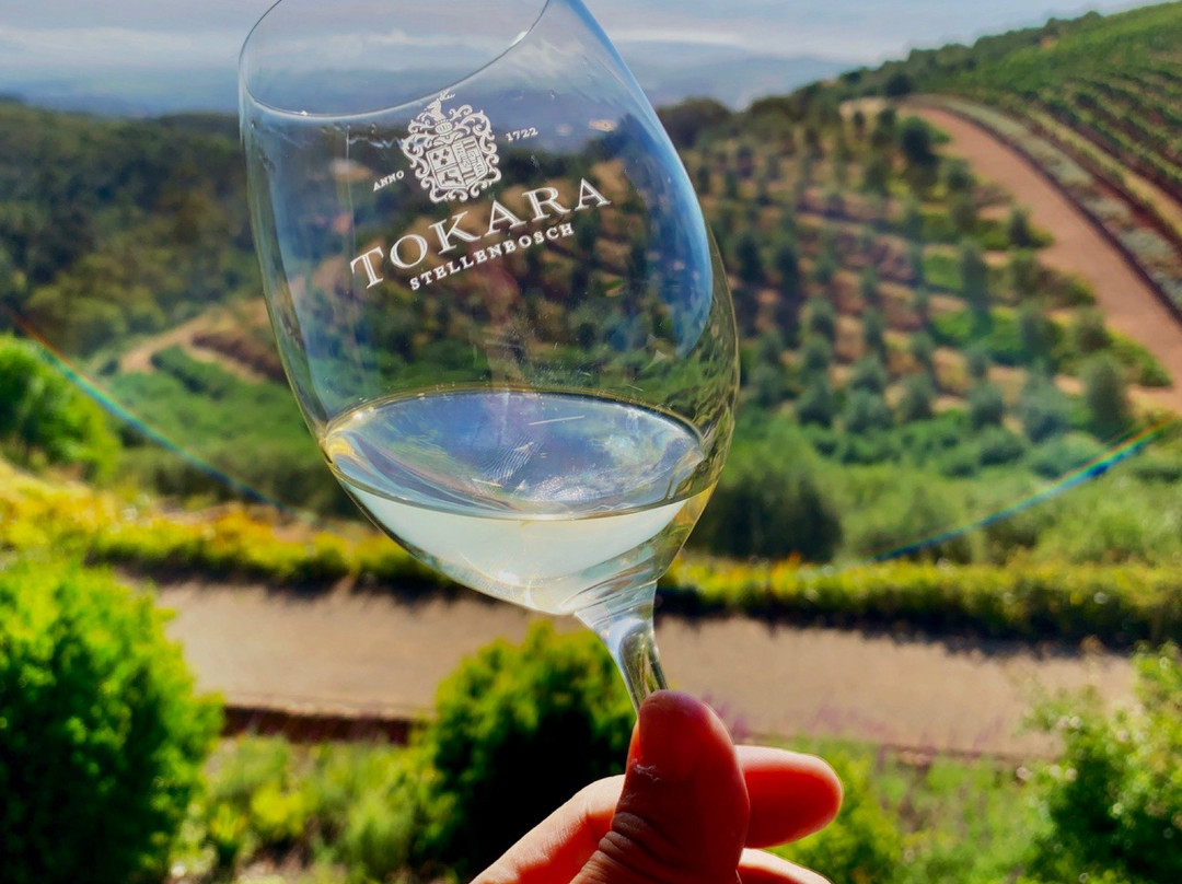 Bosch Travel and Tours-开普敦中心区必去景点