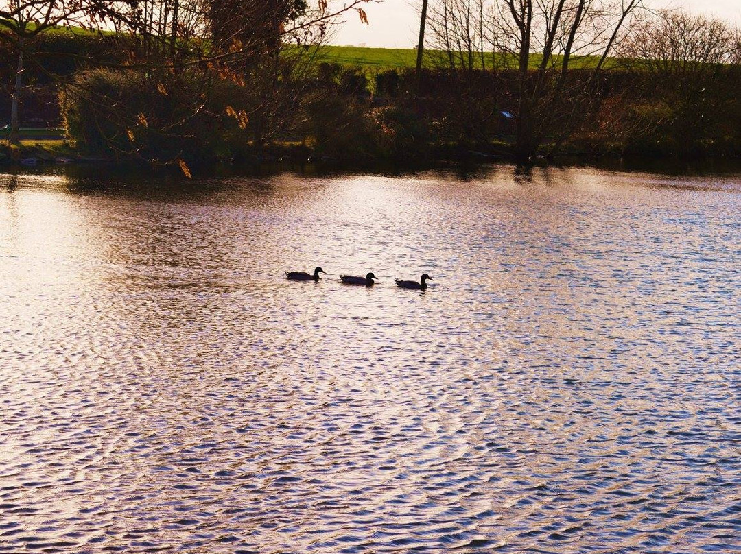 Stephenstown Pond Nature Park景点图片