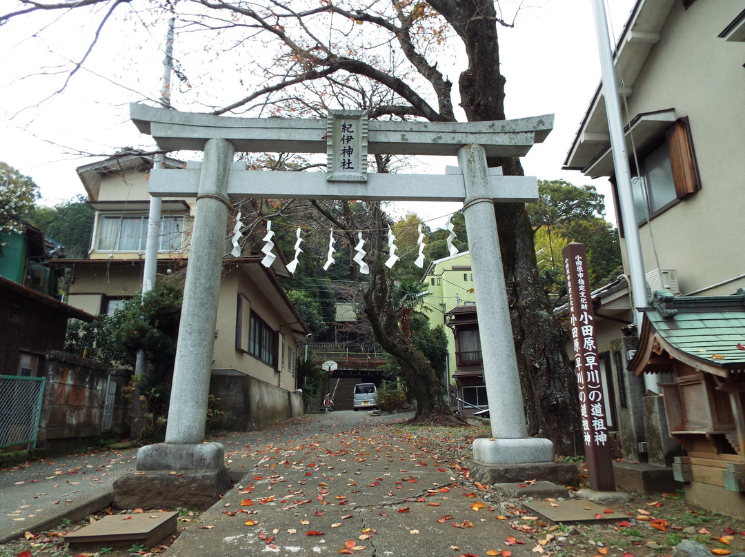 Kii Shrine-小田原市必去景点