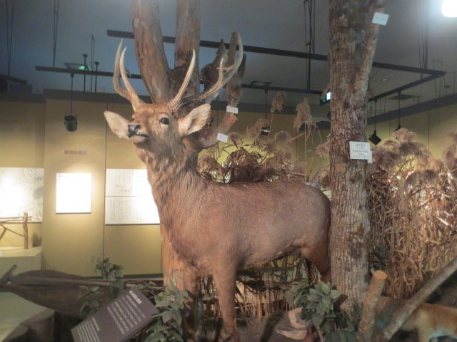 Bibai City Folk Museum-美呗市必去景点