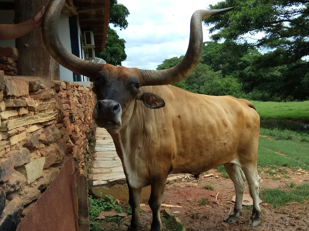 Fazenda Babilônia景点图片