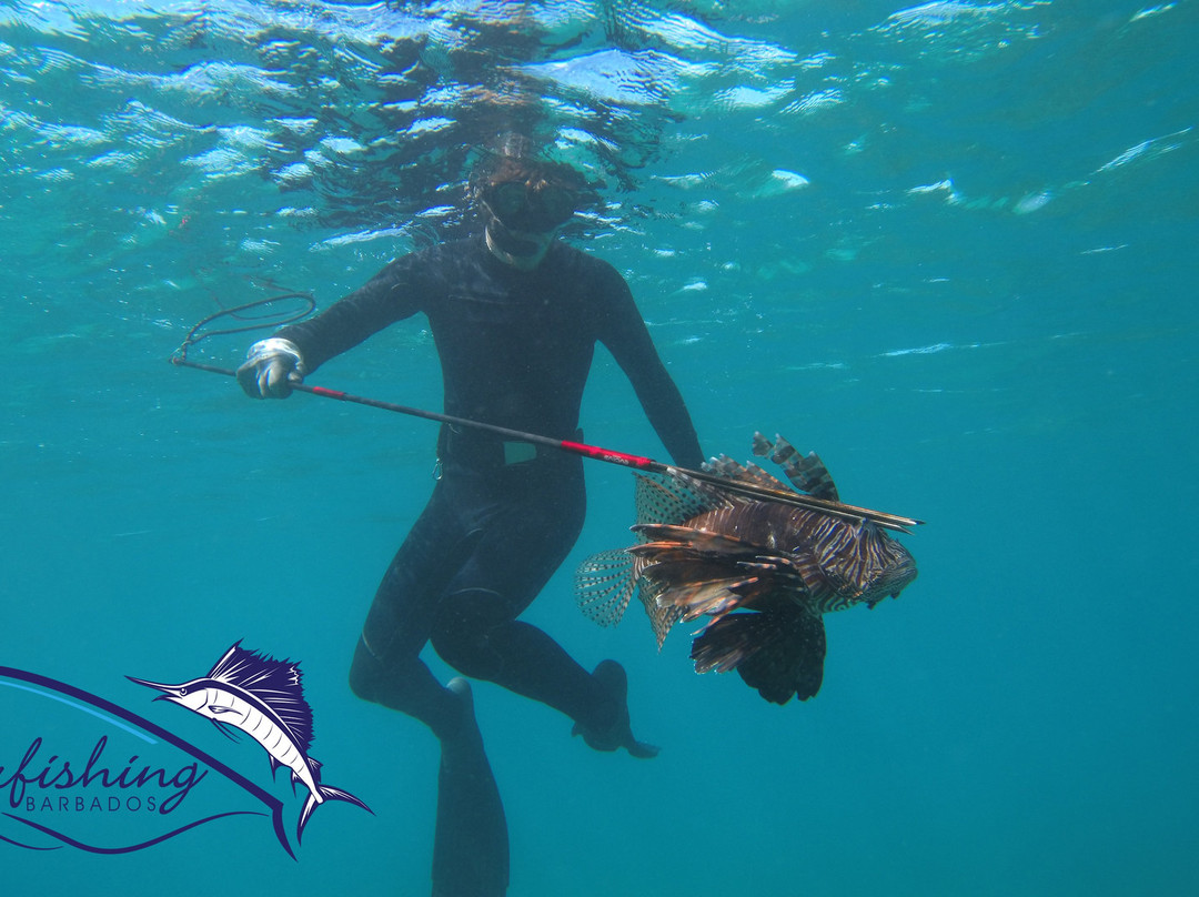 Spearfishing Barbados-巴巴多斯必去景点