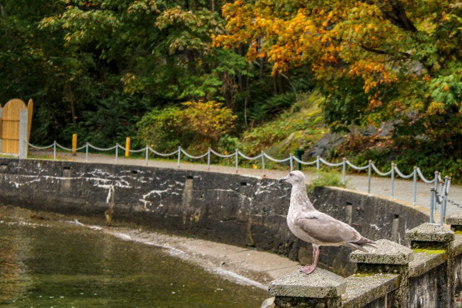Crippen Regional Park-Bowen Island必去景点