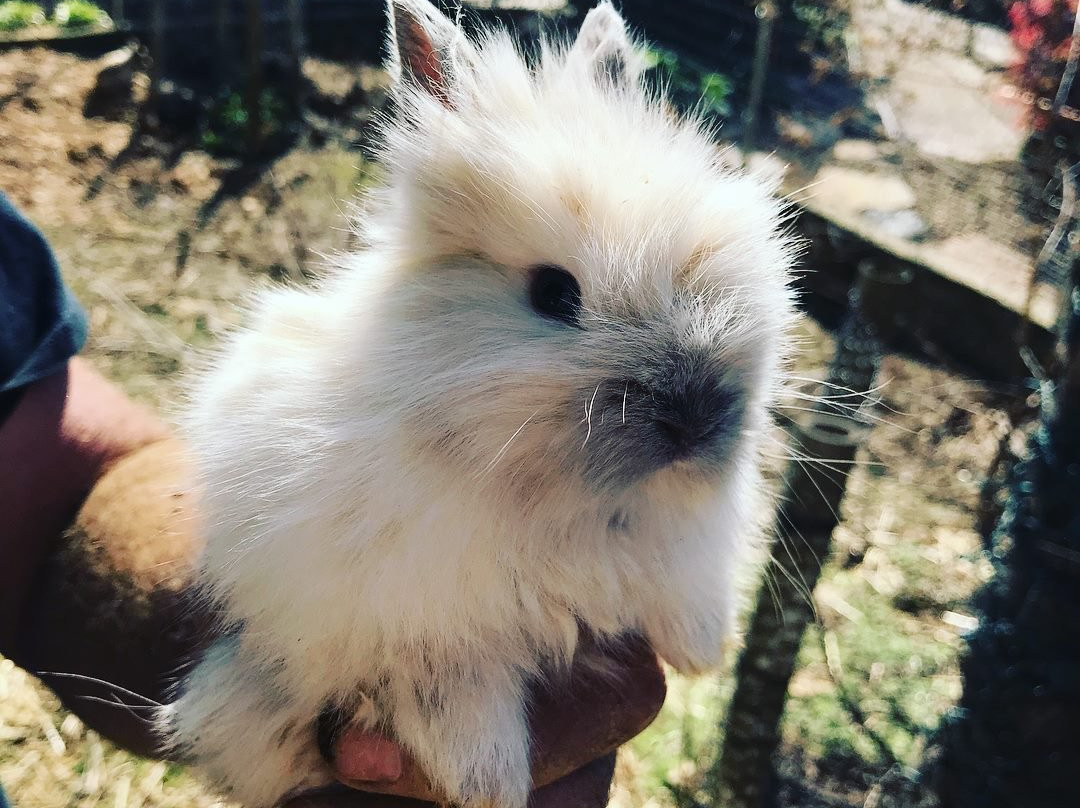 Ponds and Plants-Dayton必去景点