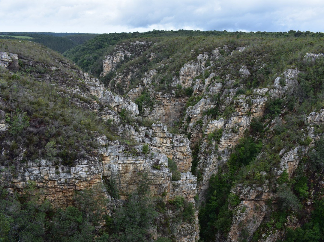 Storms River Bridge (Paul Sauer Bridge)景点图片