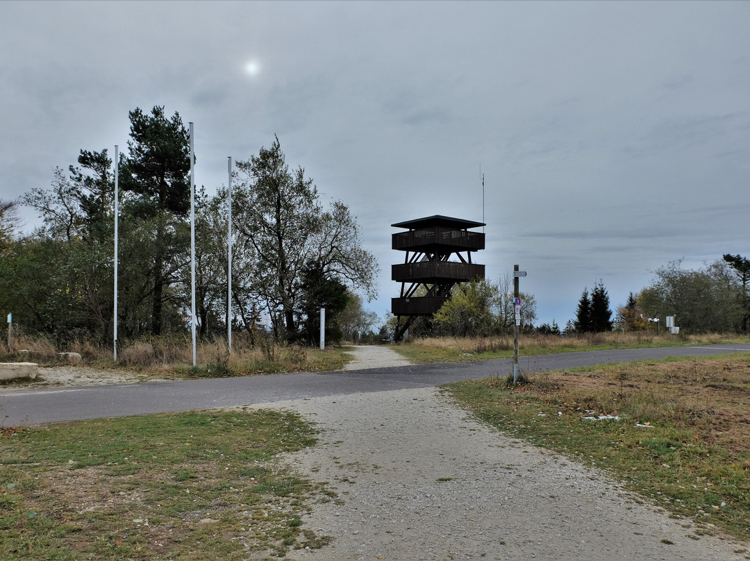 Erbeskopf Skigebiet-Thalfang必去景点