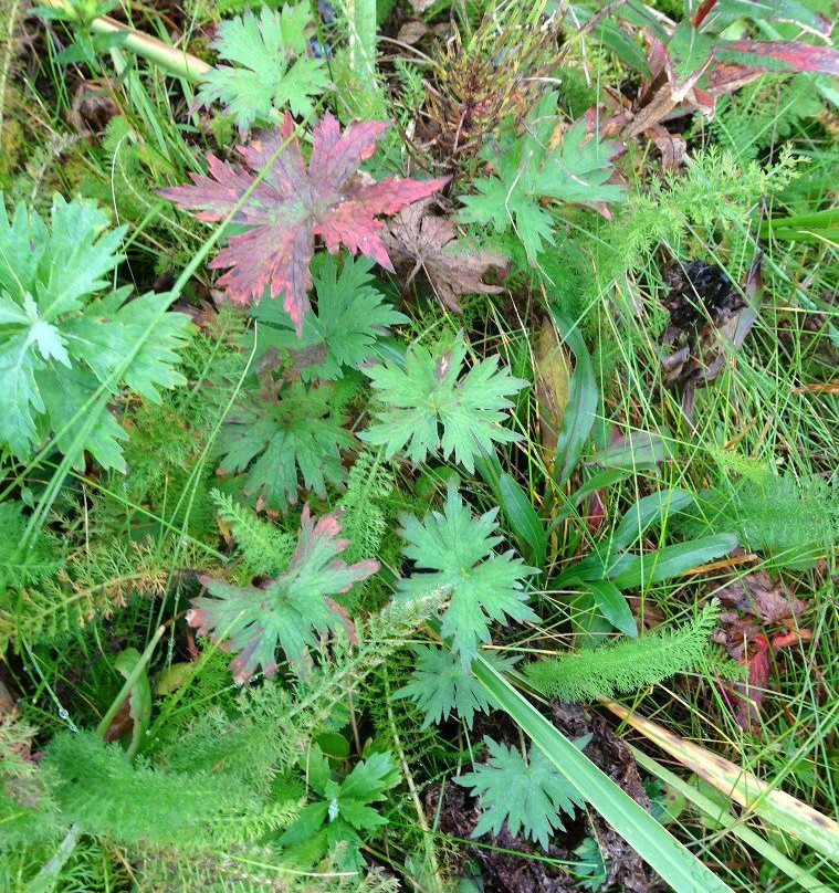 Izembek Wildlife Refuge-Cold Bay必去景点