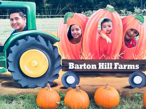 Barton Hill Farms-巴斯特罗普必去景点