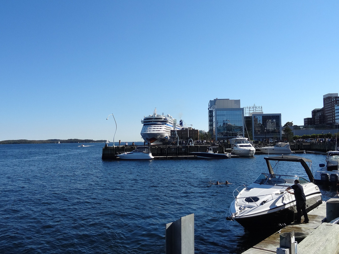 Harbourside Market景点图片