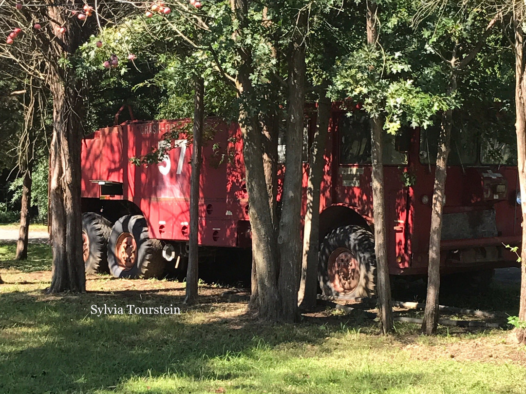 Amazing Farm Fun at Ticonderoga景点图片