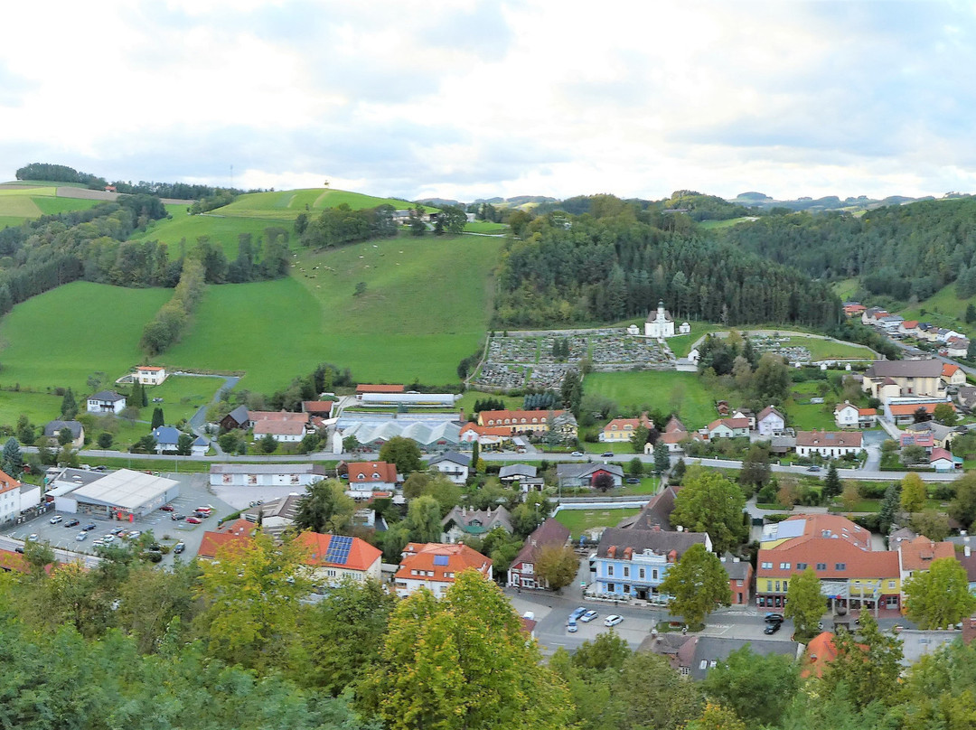 Burgruine Kirchschlag景点图片