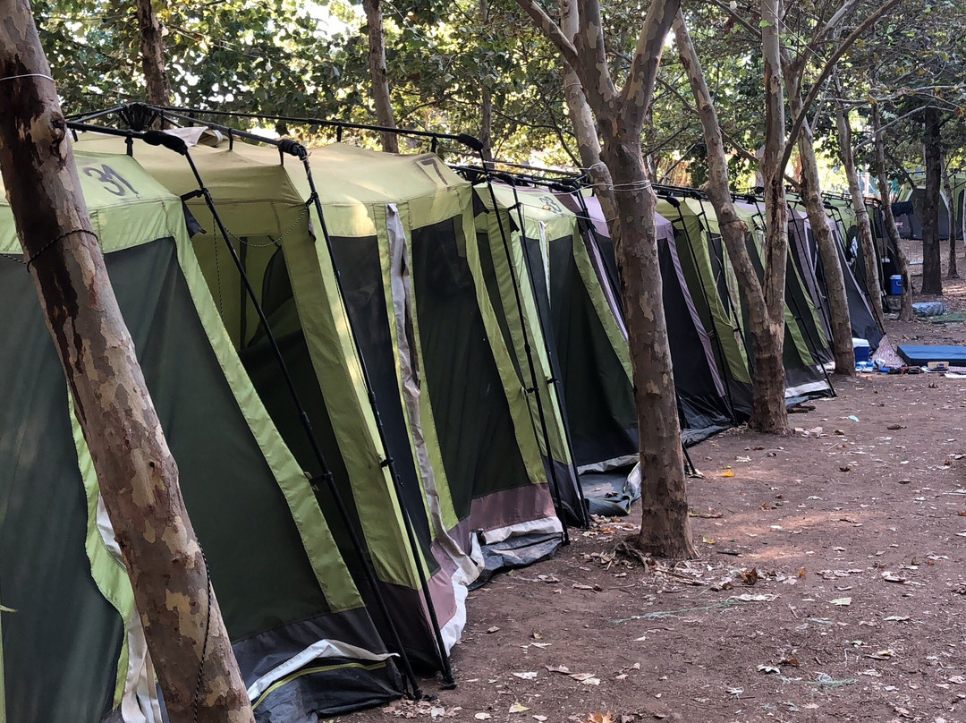 Green Camping on the Stream