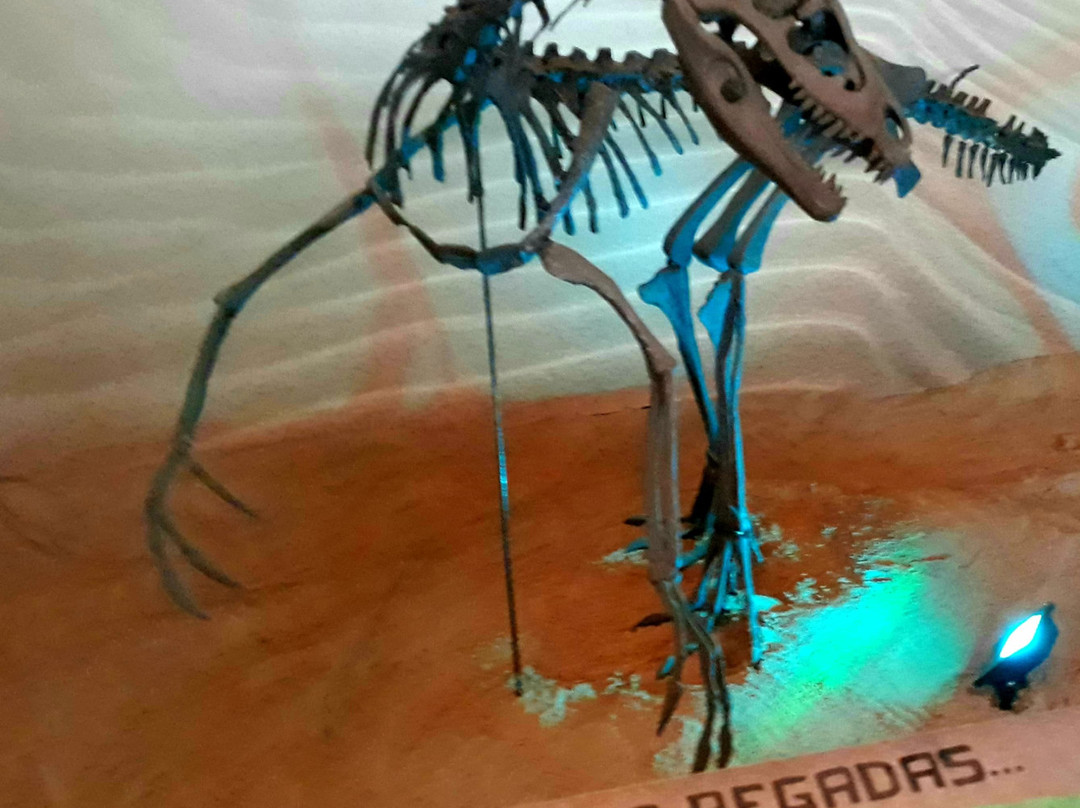 Museu de Arqueologia e Paleontologia (MAPA)-Araraquara必去景点