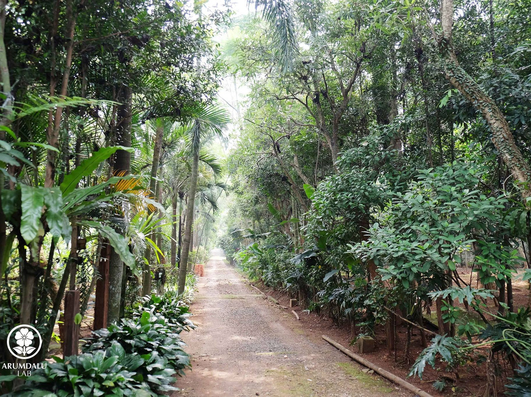 Arumdalu Farm-塞尔彭必去景点
