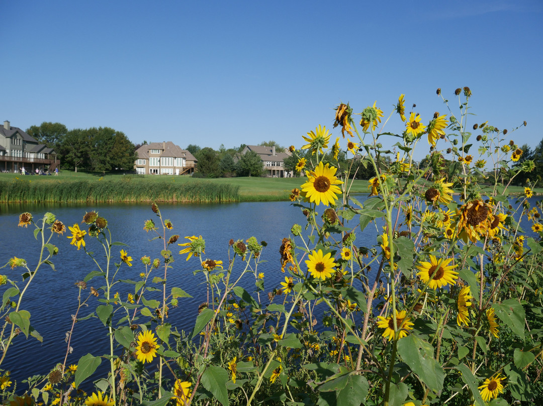 Sykes/Lady Overland Park Golf Club-欧弗兰帕克必去景点