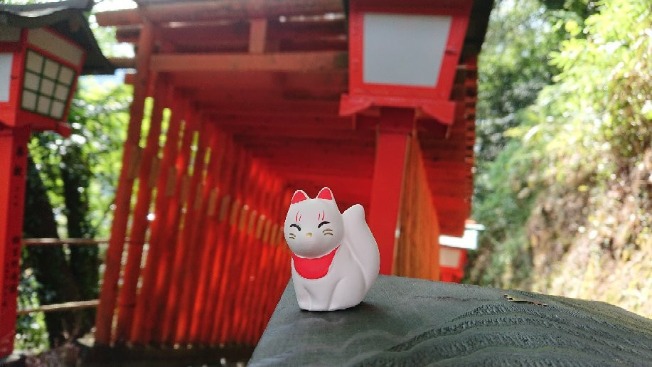 Taikodani Inari Shrine景点图片