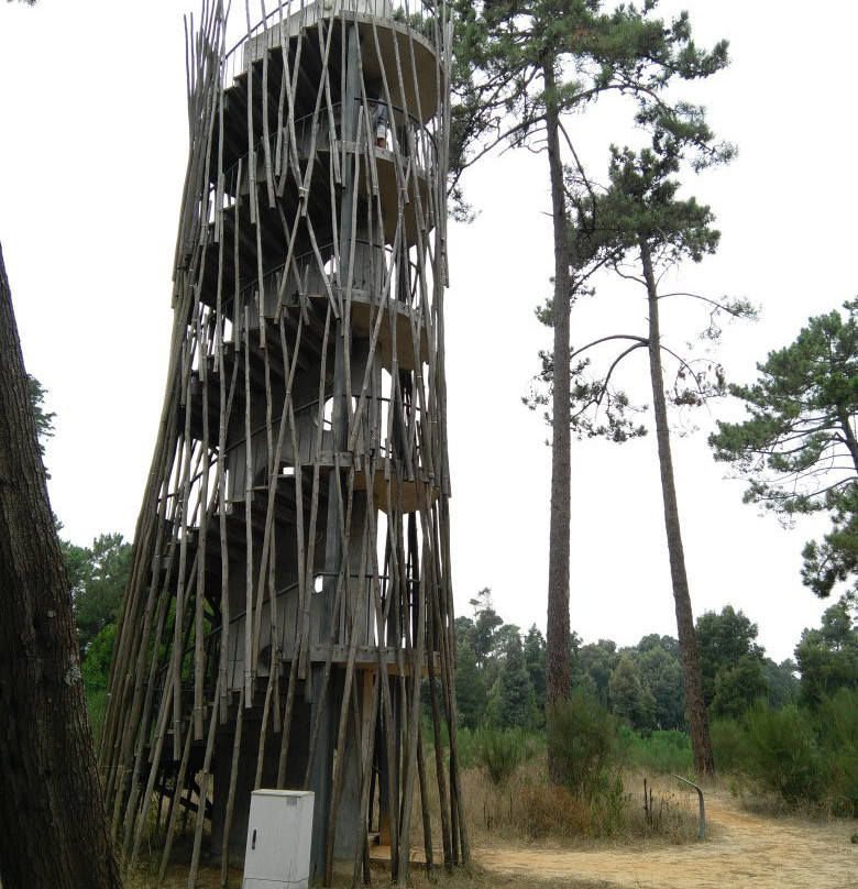 Parque Ambiental do Buçaquinho景点图片