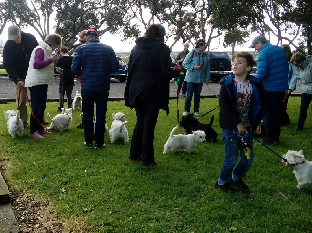 Kiwi Esplanade Walkway-曼格雷必去景点