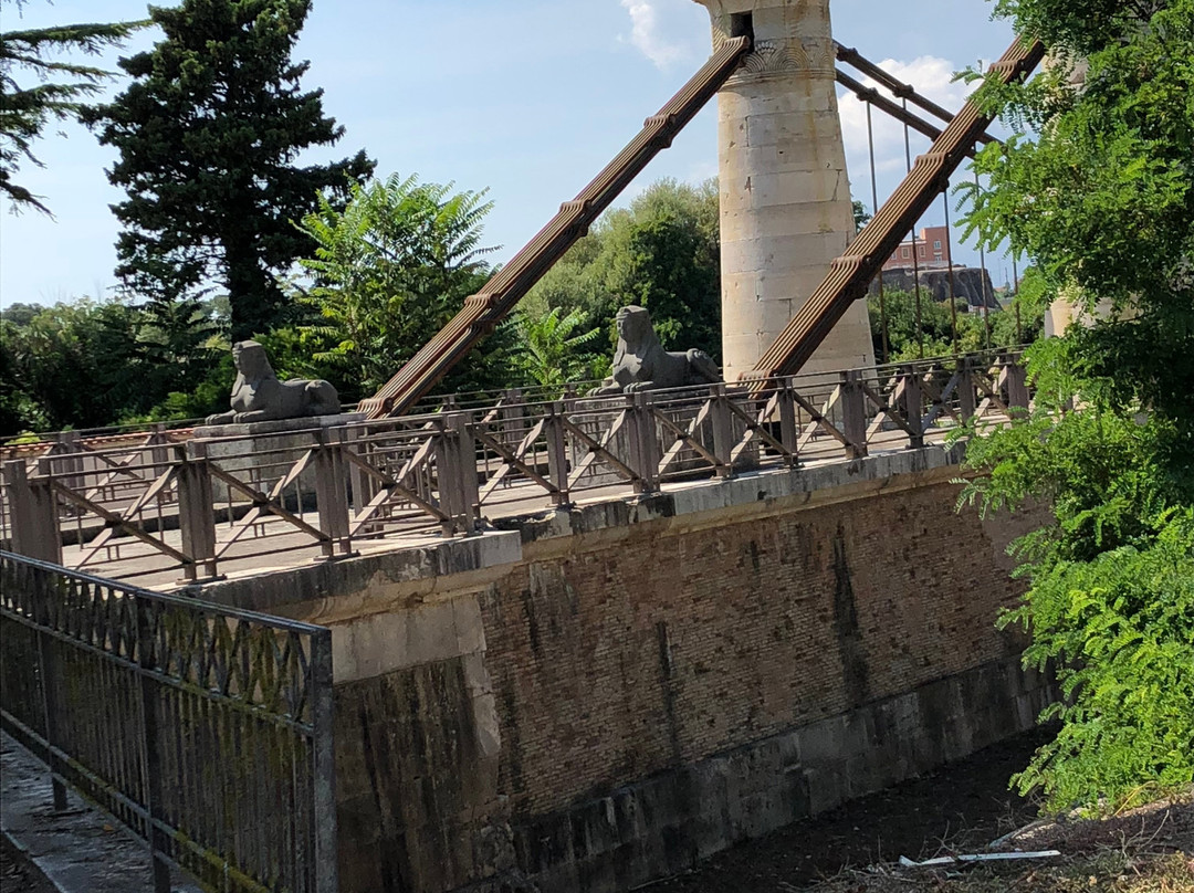 Ponte Borbonico景点图片