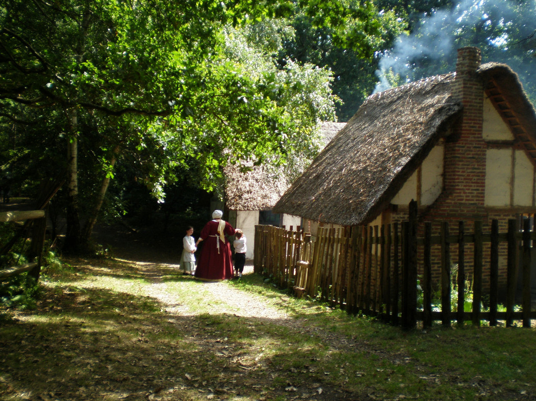 Little Woodham Living History Village景点图片