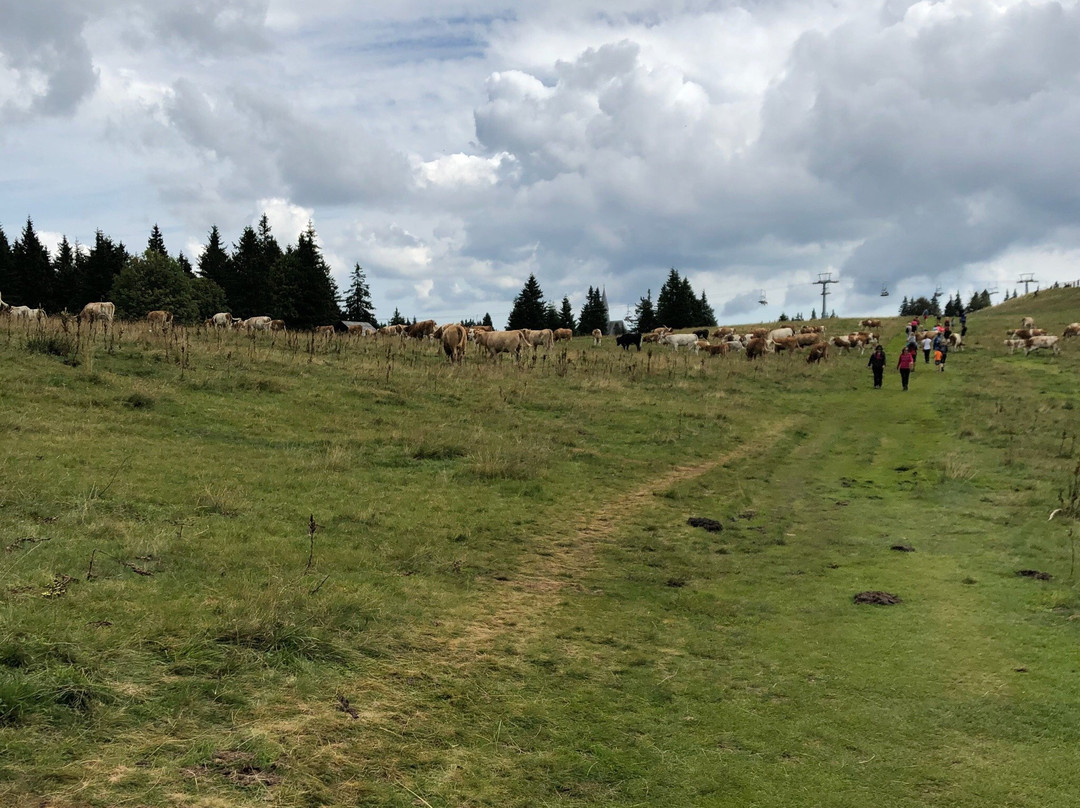 Styria Region旅游景点-Lovrenska jezera