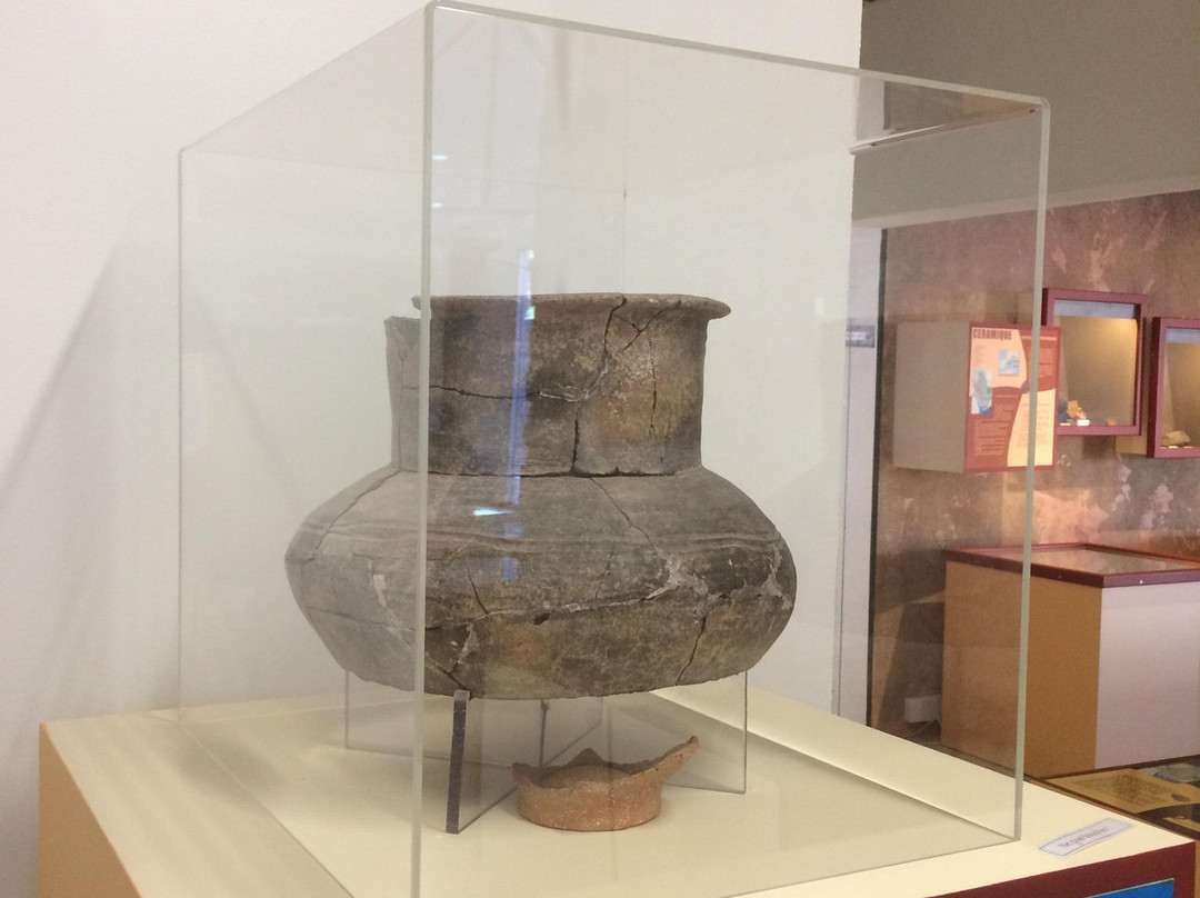 Musee Archeologique Jean Saluste景点图片
