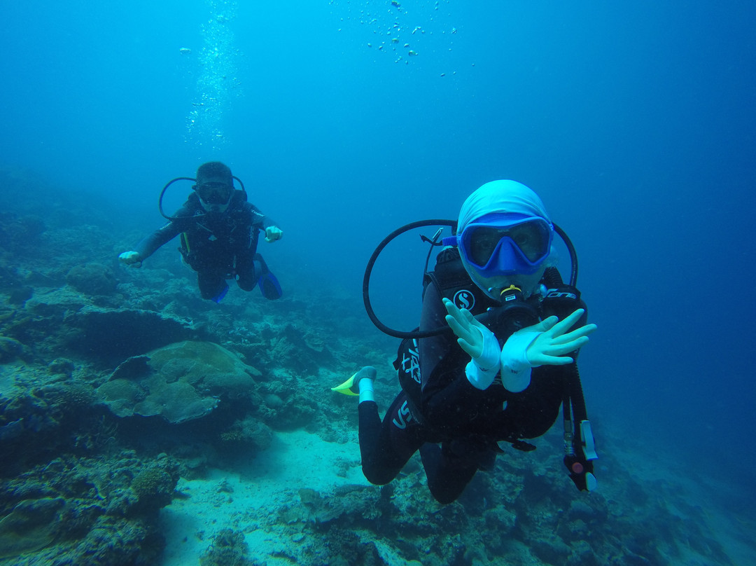Sipadan Mabul Lodge and Tours-仙本那必去景点