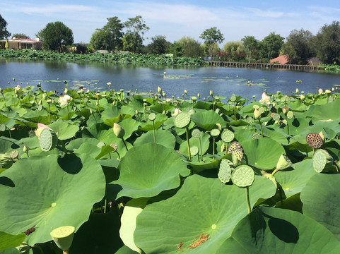 Saint-Cyr-en-Talmondais旅游攻略图片