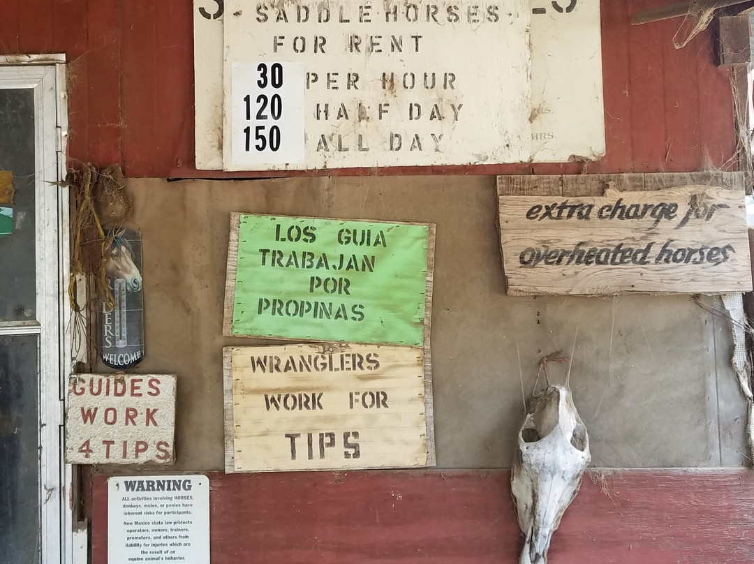 Bonito Stables-鲁伊多索必去景点